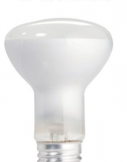 Philips 223156 Duramax 45-Watt R20 Indoor Spot Light Bulb, 3-Pack x2